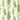 Swingers Paradise Wallpaper Wallpaper by Woodchip & Magnolia - Studio 198