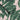 Lets Go Bananas Wallpaper Wallpaper by Woodchip & Magnolia - Studio 198