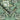 Mirk Wallpaper Wallpaper by Woodchip & Magnolia - Studio 198