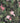 Pierre Wallpaper Wallpaper by Woodchip & Magnolia - Studio 198