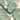 Maurice Wallpaper Wallpaper by Woodchip & Magnolia - Studio 198