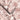 Maurice Wallpaper Wallpaper by Woodchip & Magnolia - Studio 198
