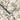 Maurice Wallpaper Wallpaper by Woodchip & Magnolia - Studio 198