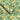 Canopy Wallpaper Wallpaper by Woodchip & Magnolia - Studio 198