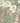 Wilderness Wallpaper Wallpaper by Woodchip & Magnolia - Studio 198