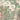 Wilderness Wallpaper Wallpaper by Woodchip & Magnolia - Studio 198
