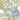Enchanted Gardens Wallpaper Wallpaper by Woodchip & Magnolia - Studio 198