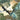 Enchanted Gardens Wallpaper Wallpaper by Woodchip & Magnolia - Studio 198