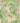 Verdant Trellis Wallpaper Wallpaper by Woodchip & Magnolia - Studio 198