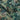 Palm House Wallpaper Wallpaper by Woodchip & Magnolia - Studio 198
