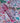 Mighty Jungle Cotton Fabric by The Vale London - Studio 198